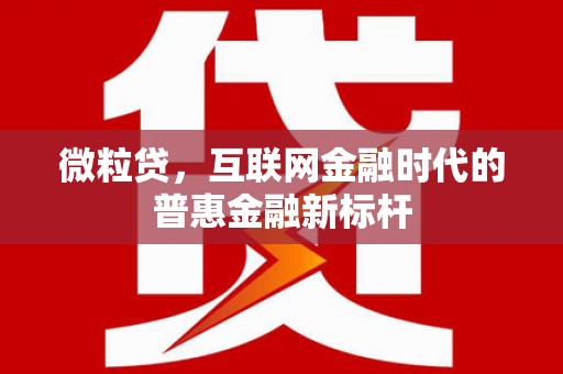 保税区微粒贷，互联网金融时代的普惠金融新标杆