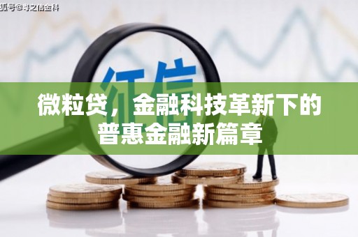 保税区微粒贷，金融科技革新下的普惠金融新篇章