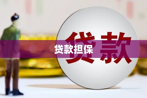 保税区贷款担保
