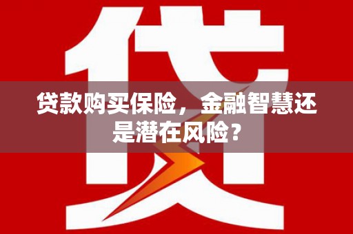 保税区贷款购买保险，金融智慧还是潜在风险？