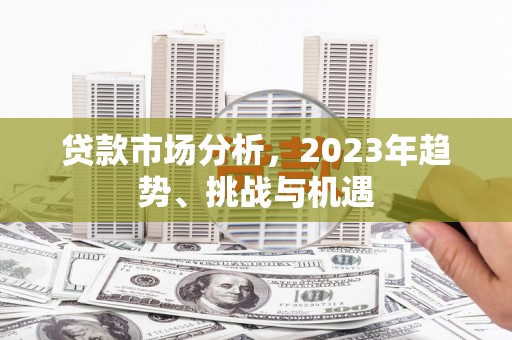 保税区贷款市场分析，2023年趋势、挑战与机遇