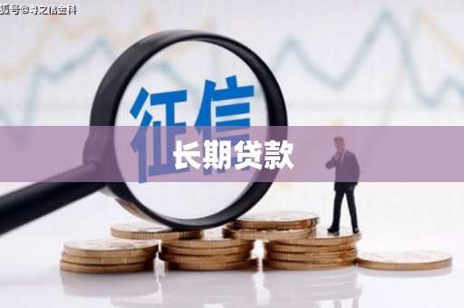 保税区长期贷款