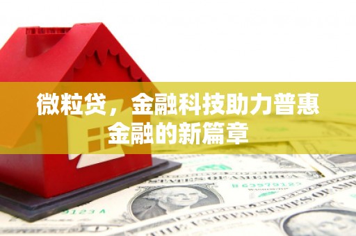 保税区微粒贷，金融科技助力普惠金融的新篇章
