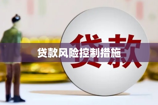 保税区贷款风险控制措施