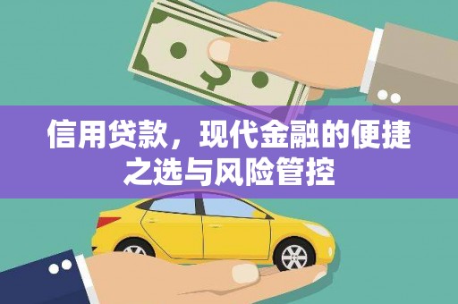 保税区信用贷款，现代金融的便捷之选与风险管控