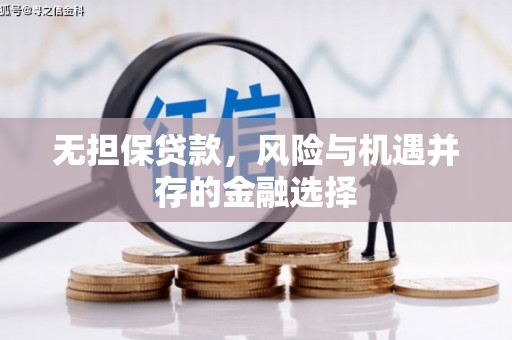 保税区无担保贷款，风险与机遇并存的金融选择