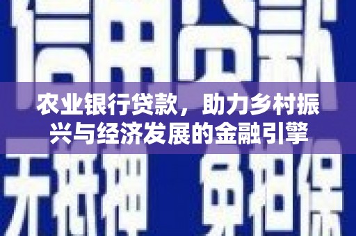 保税区农业银行贷款，助力乡村振兴与经济发展的金融引擎