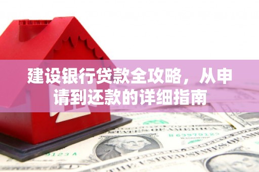 保税区建设银行贷款全攻略，从申请到还款的详细指南