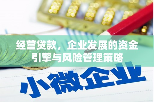 保税区经营贷款，企业发展的资金引擎与风险管理策略