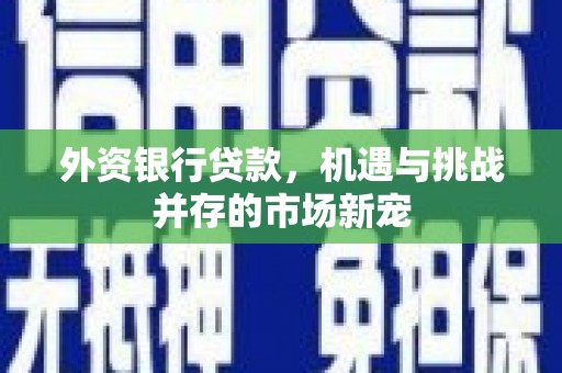 保税区外资银行贷款，机遇与挑战并存的市场新宠