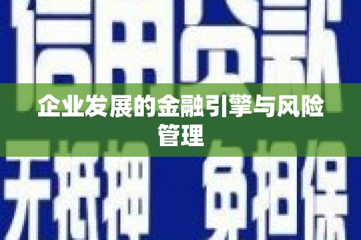 保税区企业发展的金融引擎与风险管理