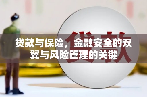 保税区贷款与保险，金融安全的双翼与风险管理的关键