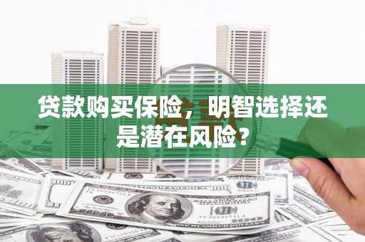 保税区贷款购买保险，明智选择还是潜在风险？