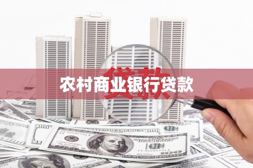 保税区农村商业银行贷款