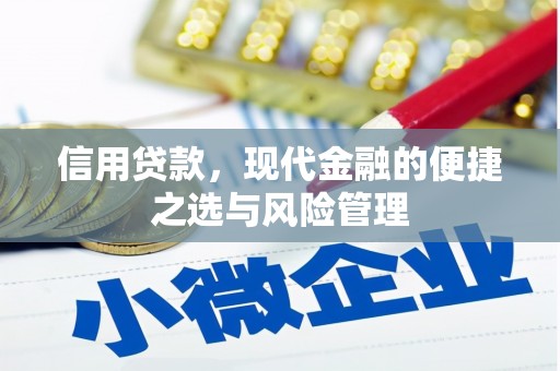 保税区信用贷款，现代金融的便捷之选与风险管理