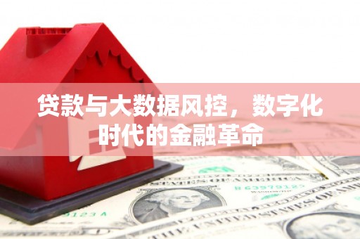 保税区贷款与大数据风控，数字化时代的金融革命