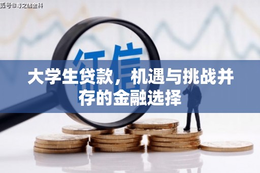 保税区大学生贷款，机遇与挑战并存的金融选择