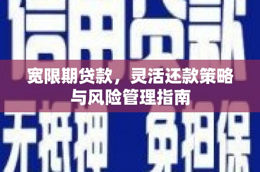 保税区宽限期贷款，灵活还款策略与风险管理指南