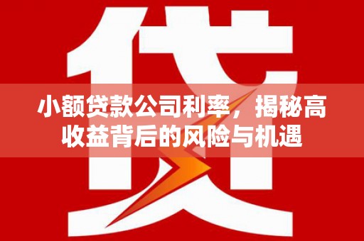 保税区小额贷款公司利率，揭秘高收益背后的风险与机遇