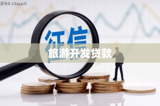 保税区旅游开发贷款