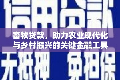 保税区畜牧贷款，助力农业现代化与乡村振兴的关键金融工具