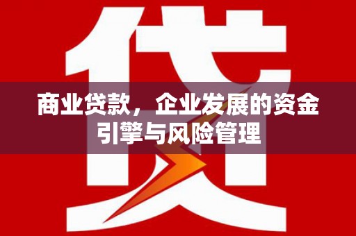保税区商业贷款，企业发展的资金引擎与风险管理