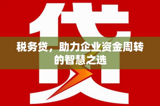 保税区税务贷，助力企业资金周转的智慧之选
