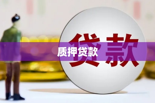 保税区质押贷款