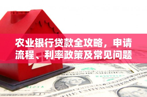 保税区农业银行贷款全攻略，申请流程、利率政策及常见问题解析