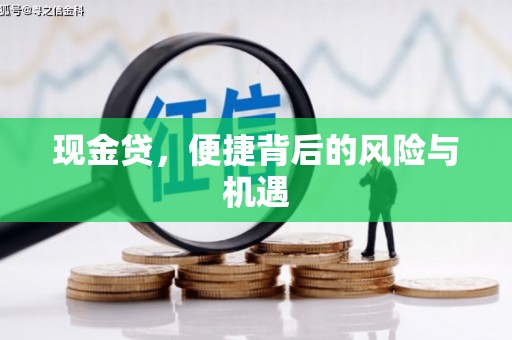 保税区现金贷，便捷背后的风险与机遇