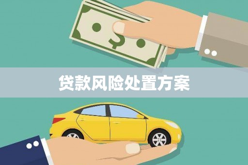 保税区贷款风险处置方案