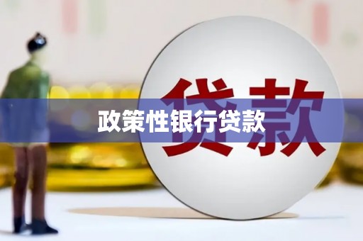 保税区政策性银行贷款