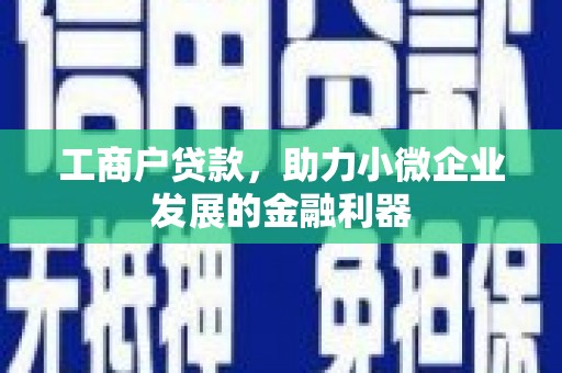 保税区工商户贷款，助力小微企业发展的金融利器