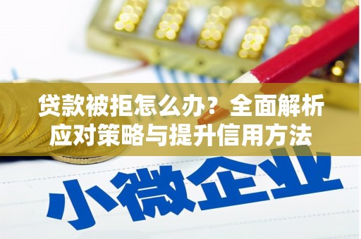 保税区贷款被拒怎么办？全面解析应对策略与提升信用方法
