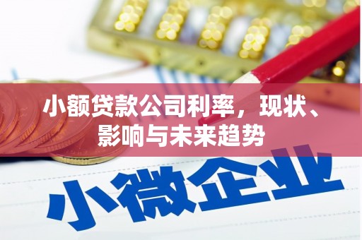 保税区小额贷款公司利率，现状、影响与未来趋势