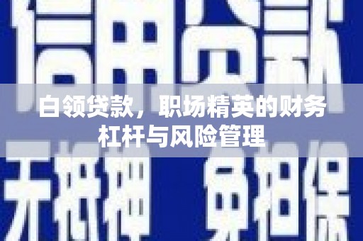 保税区白领贷款，职场精英的财务杠杆与风险管理