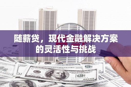保税区随薪贷，现代金融解决方案的灵活性与挑战