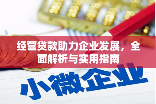 保税区经营贷款助力企业发展，全面解析与实用指南