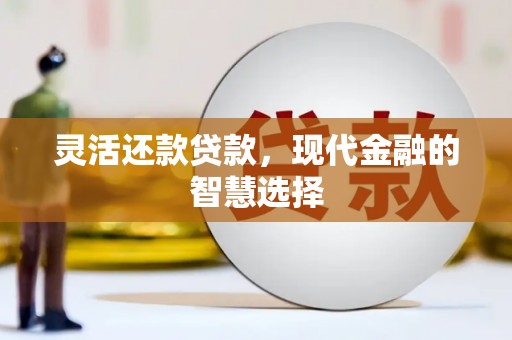 保税区灵活还款贷款，现代金融的智慧选择