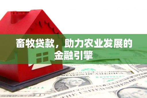 保税区畜牧贷款，助力农业发展的金融引擎
