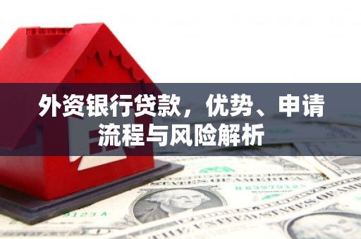 保税区外资银行贷款，优势、申请流程与风险解析