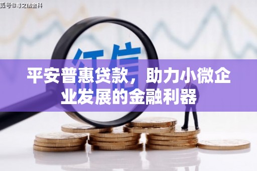 保税区平安普惠贷款，助力小微企业发展的金融利器