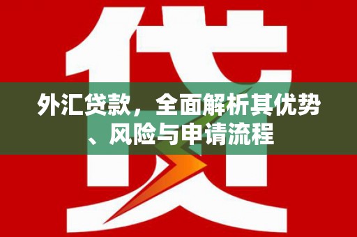 保税区外汇贷款，全面解析其优势、风险与申请流程