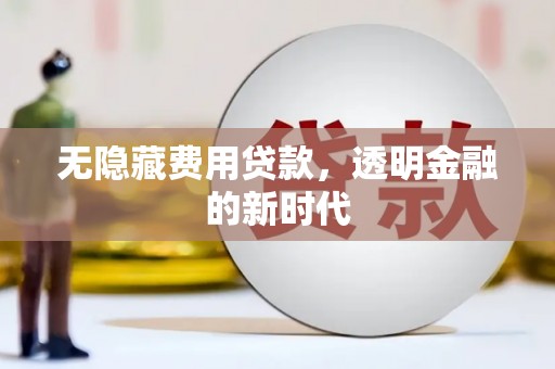 保税区无隐藏费用贷款，透明金融的新时代