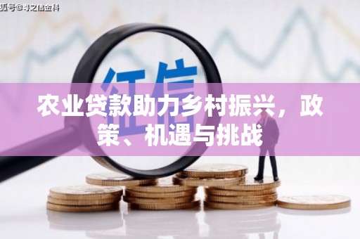 保税区农业贷款助力乡村振兴，政策、机遇与挑战