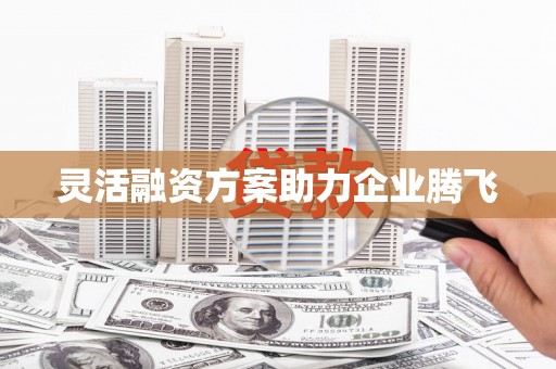 保税区灵活融资方案助力企业腾飞