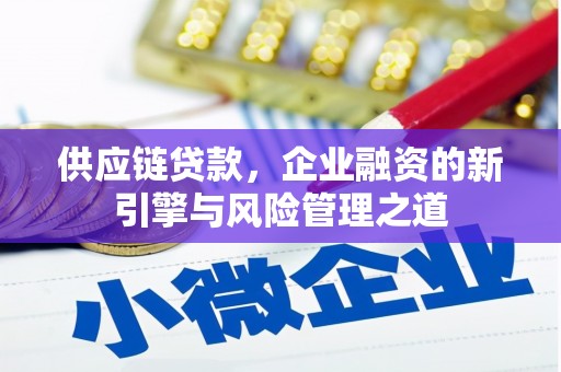 保税区供应链贷款，企业融资的新引擎与风险管理之道