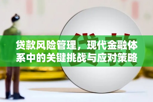 保税区贷款风险管理，现代金融体系中的关键挑战与应对策略