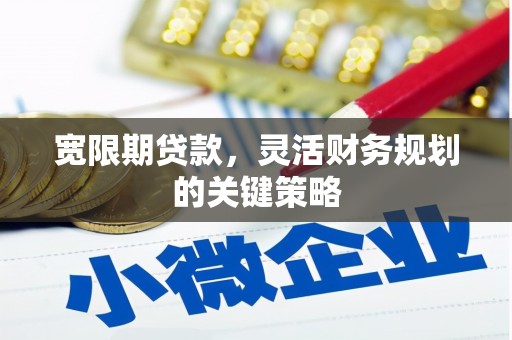 保税区宽限期贷款，灵活财务规划的关键策略