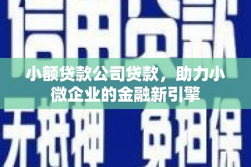 保税区小额贷款公司贷款，助力小微企业的金融新引擎